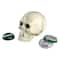 Design Toscano Pop Your Top Skeleton Skull Cast Iron Bottle Opener
